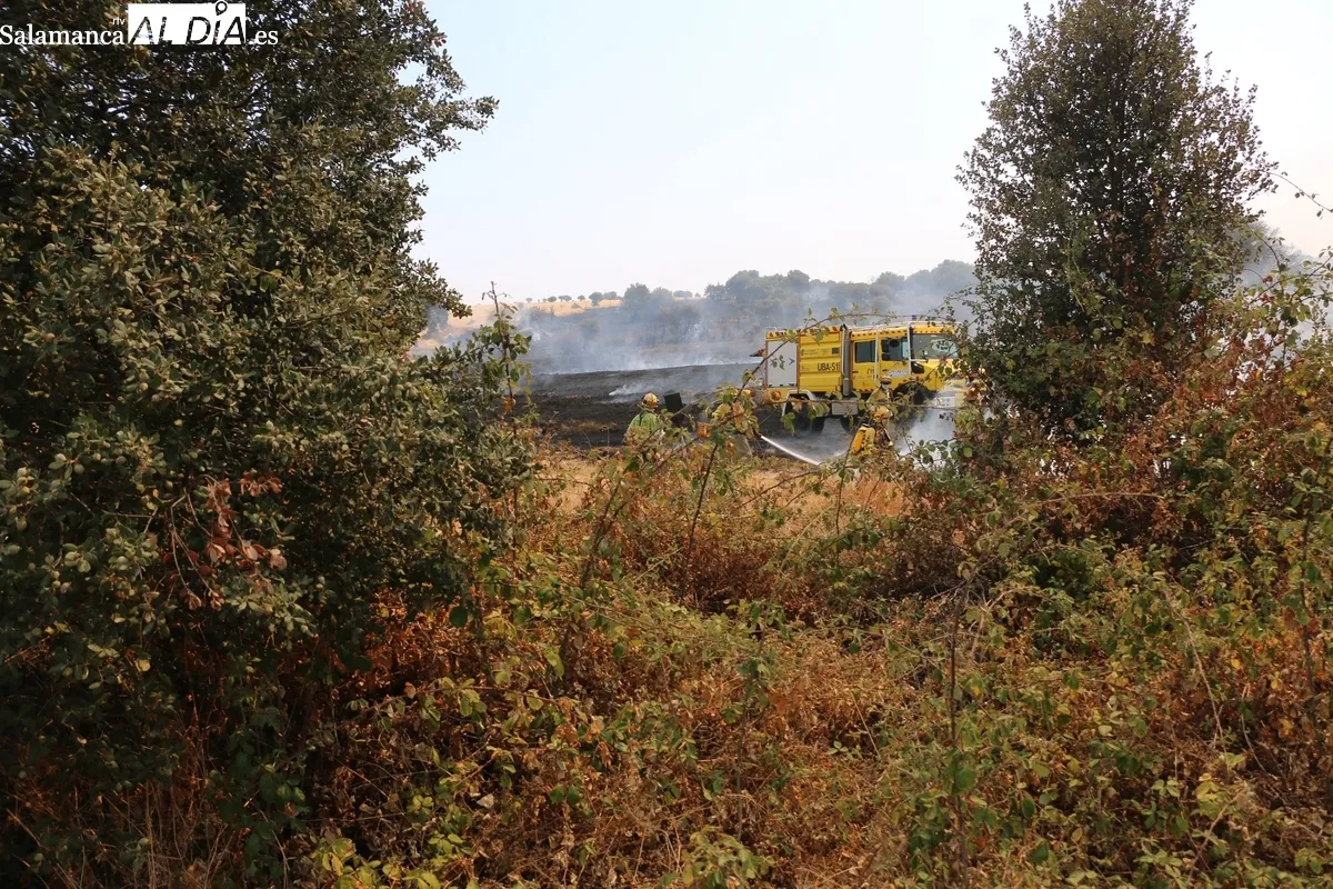 Incendio forestal activo en El Milano, en Vitigudino
