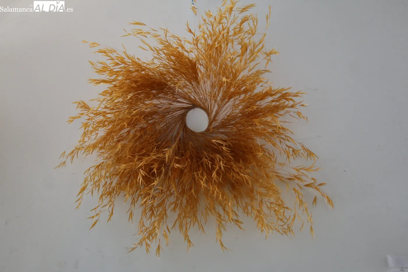 Exposición de Rita Flowers en Vitigudino / CORRAL