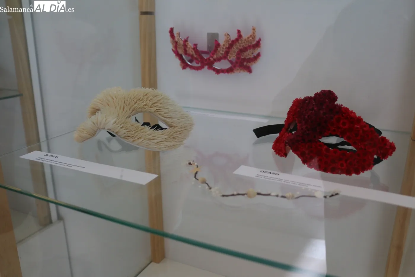 Exposición de Rita Flowers en Vitigudino / CORRAL