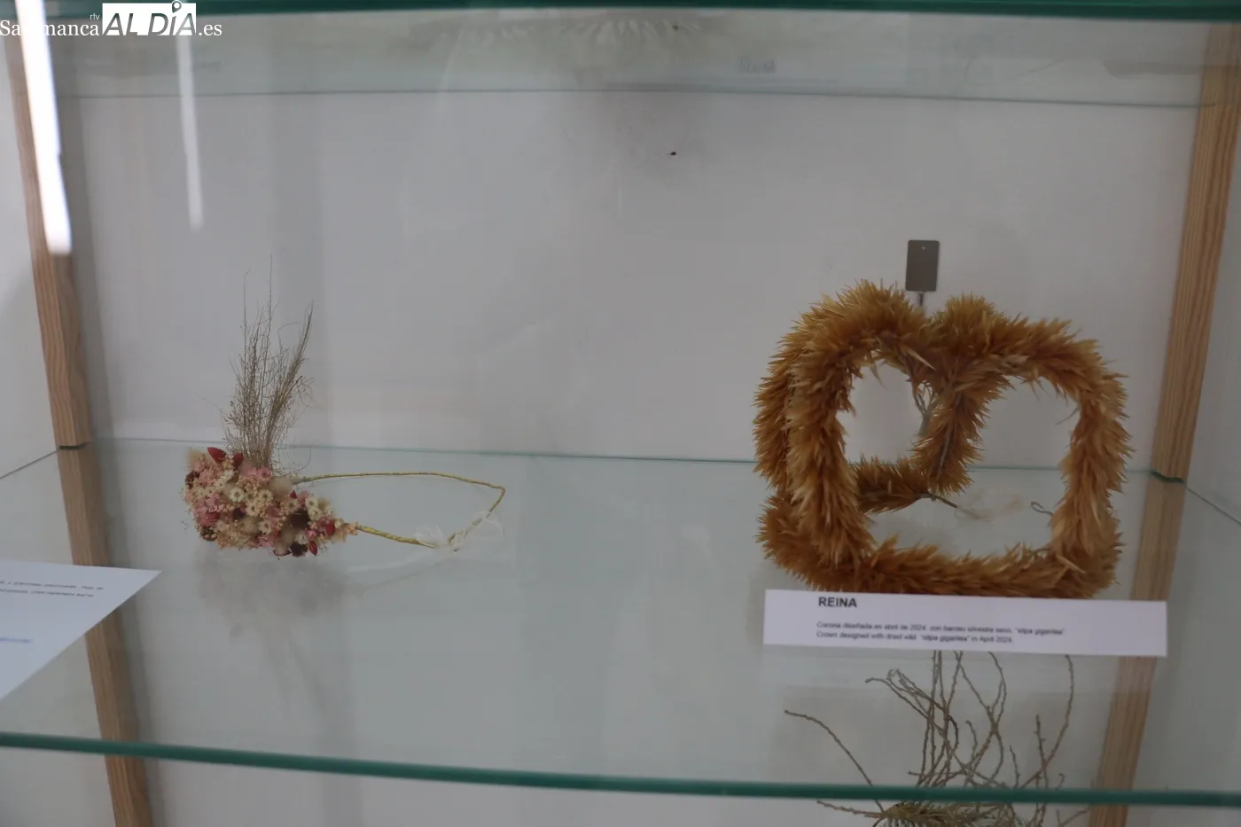 Exposición de Rita Flowers en Vitigudino / CORRAL