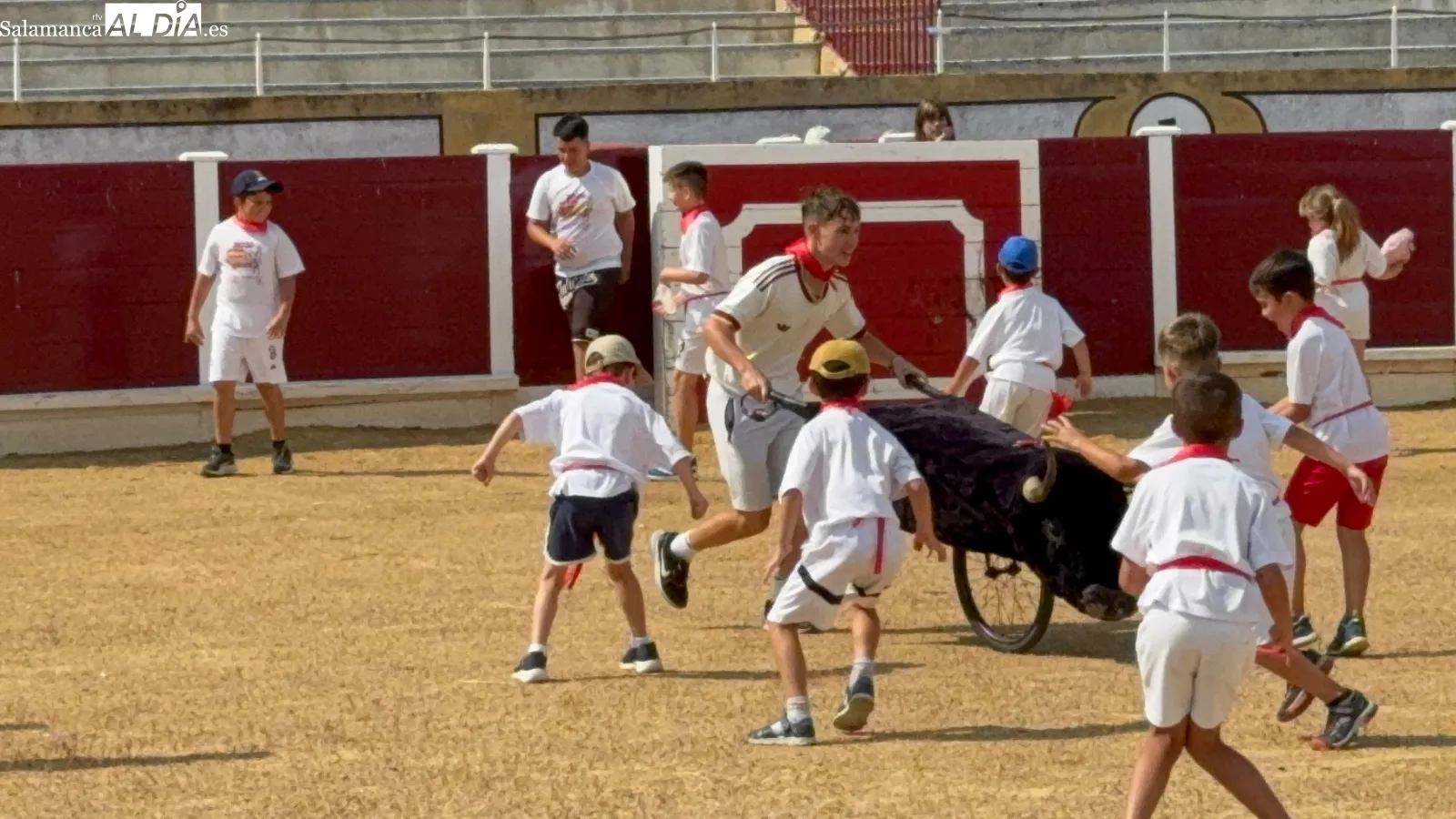 Foto 8 - Carreras, diversi&oacute;n y tradici&oacute;n en el esperado encierro infantil de San Ferm&iacute;n de los campamentos urbanos de verano