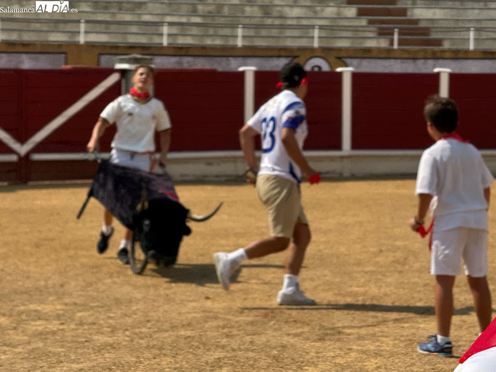 Foto 3 - Carreras, diversi&oacute;n y tradici&oacute;n en el esperado encierro infantil de San Ferm&iacute;n de los campamentos urbanos de verano