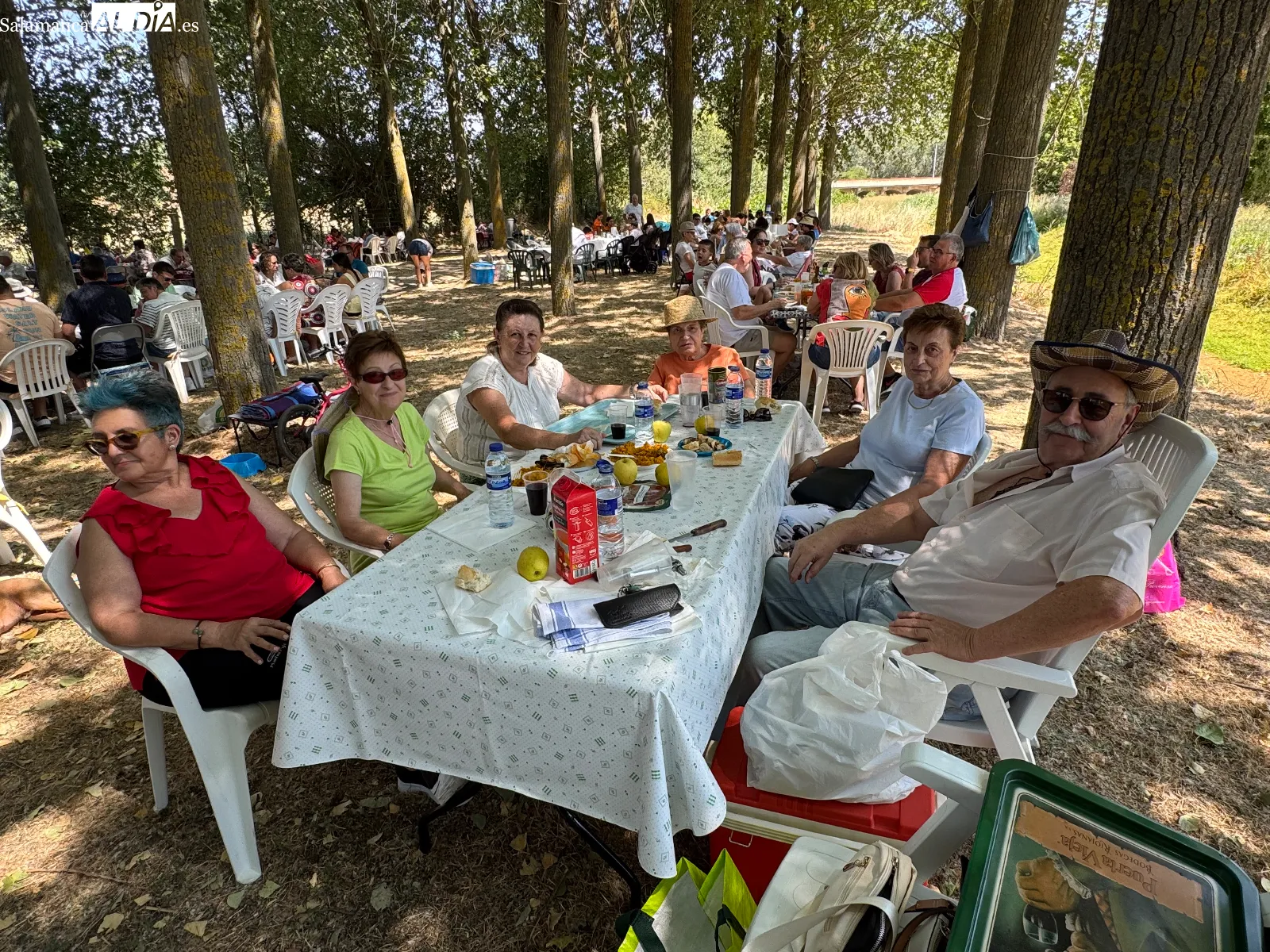 Foto 11 - Santiago de la Puebla despide sus fiestas con una multitudinaria paellada solidaria