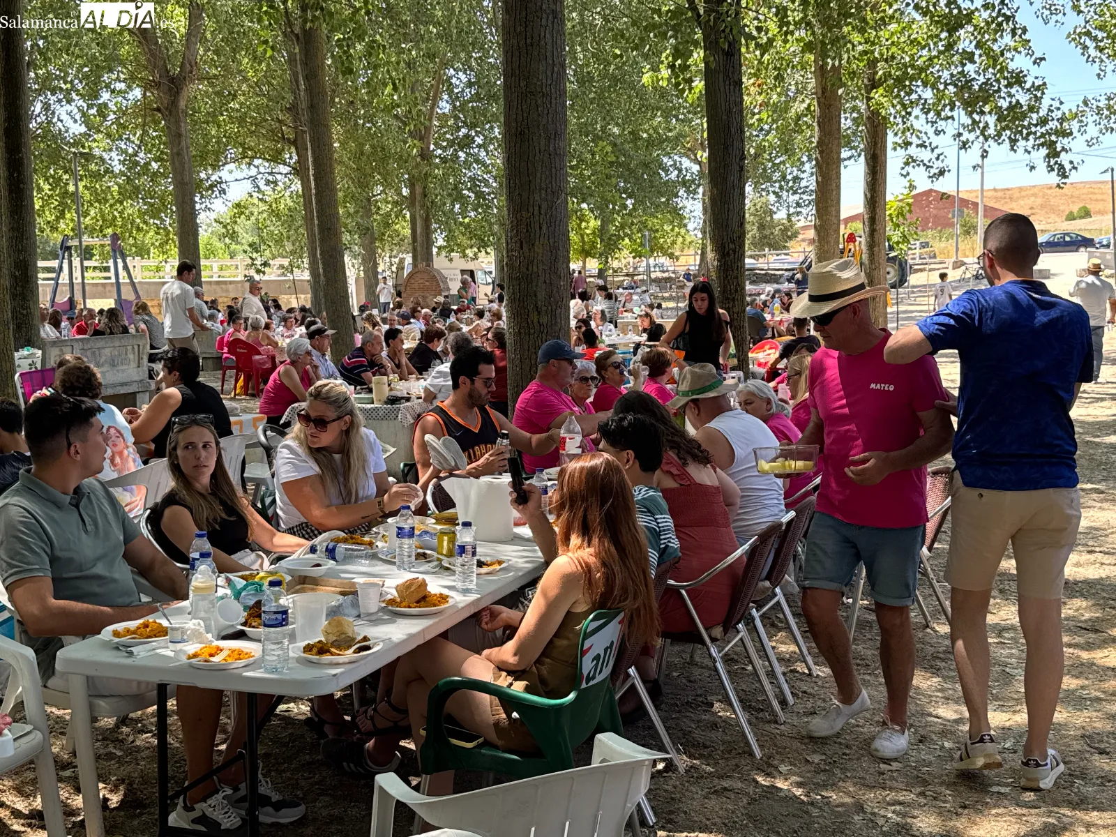 Foto 8 - Santiago de la Puebla despide sus fiestas con una multitudinaria paellada solidaria