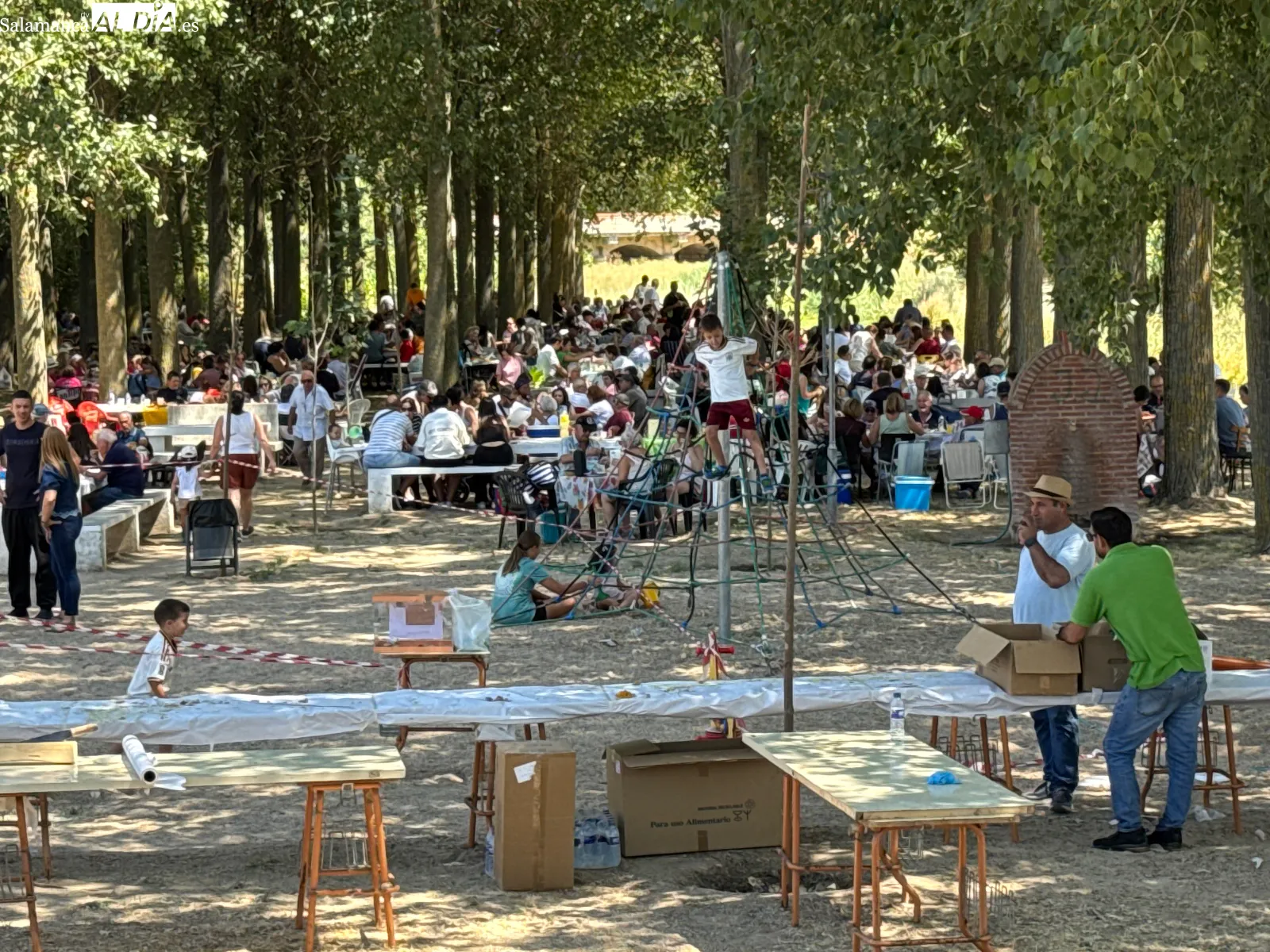 Foto 4 - Santiago de la Puebla despide sus fiestas con una multitudinaria paellada solidaria