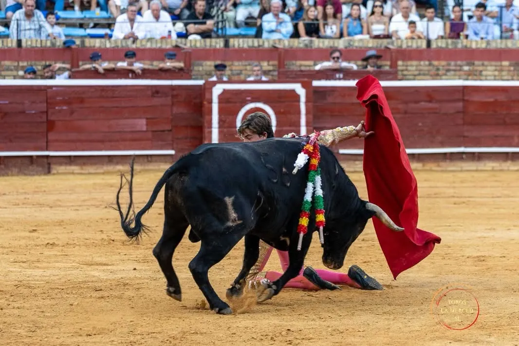 Julio Norte, entrega total en Huelva | Fotos: Toros Pereda