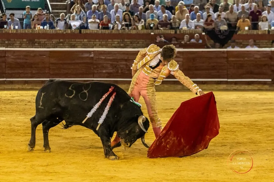 Julio Norte, entrega total en Huelva | Fotos: Toros Pereda