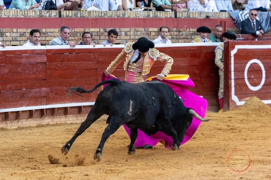 Julio Norte, entrega total en Huelva | Fotos: Toros Pereda