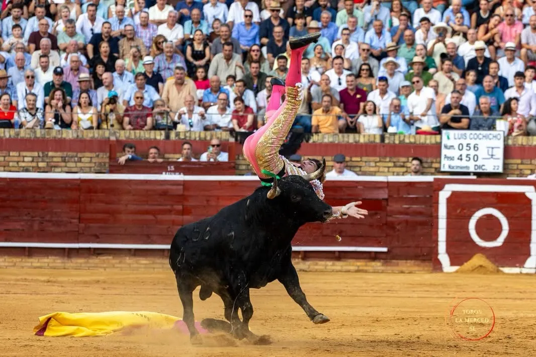 Julio Norte, entrega total en Huelva | Fotos: Toros Pereda