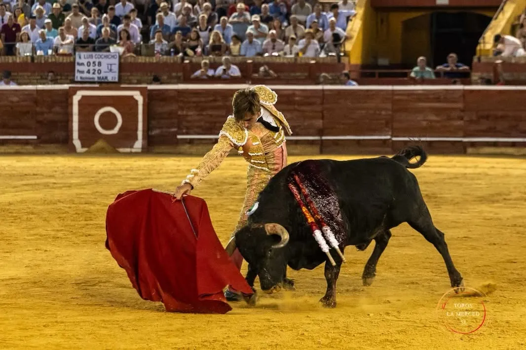 Julio Norte, entrega total en Huelva | Fotos: Toros Pereda