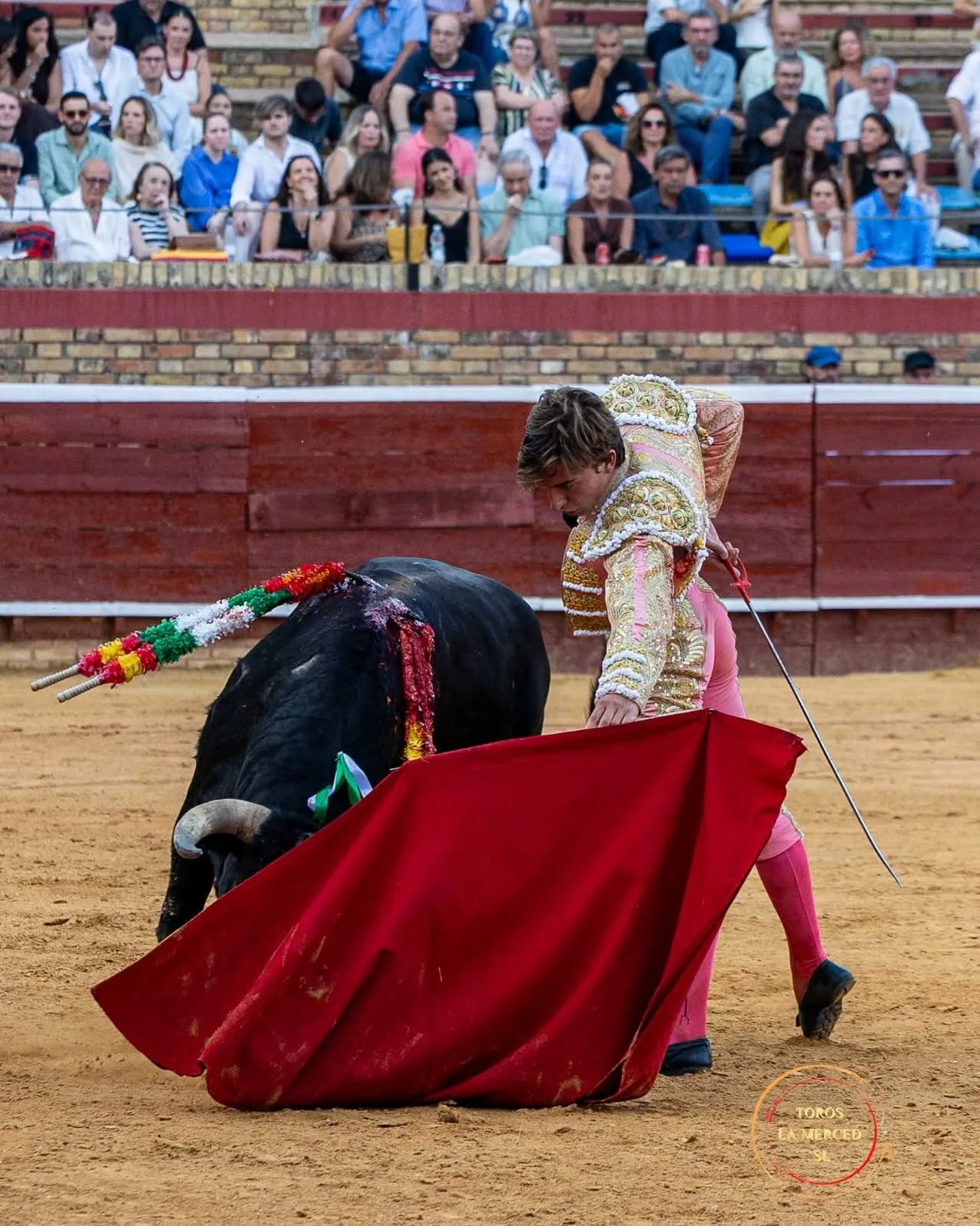 Julio Norte, entrega total en Huelva | Fotos: Toros Pereda