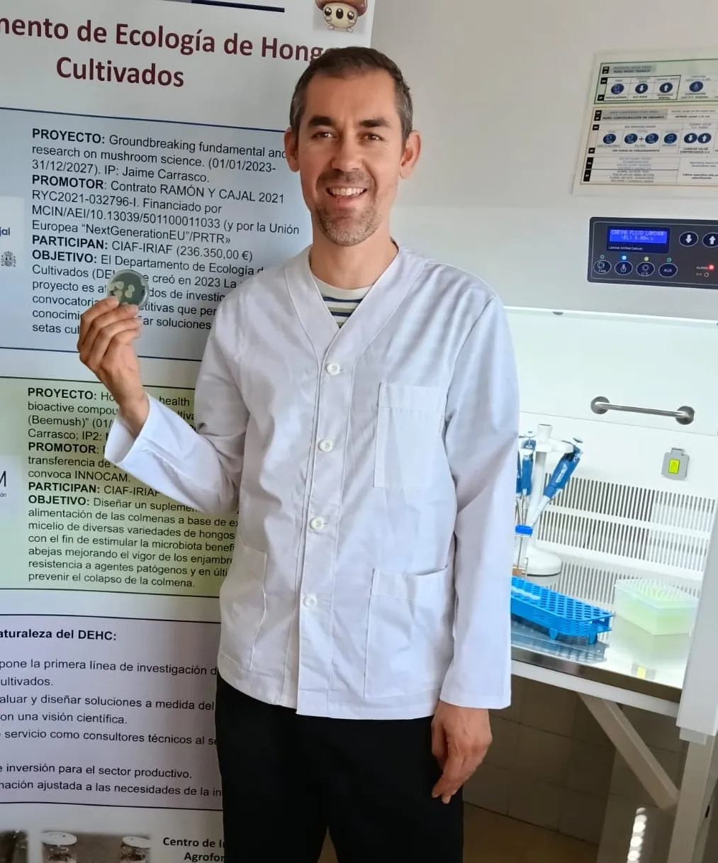 Foto 3 - Cient&iacute;ficos de Salamanca descubren bacterias para proteger el cultivo del champi&ntilde;&oacute;n