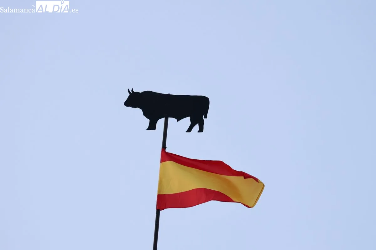 La Mariseca ya corona la Plaza Mayor de Salamanca | FOTOS: David Sañudo