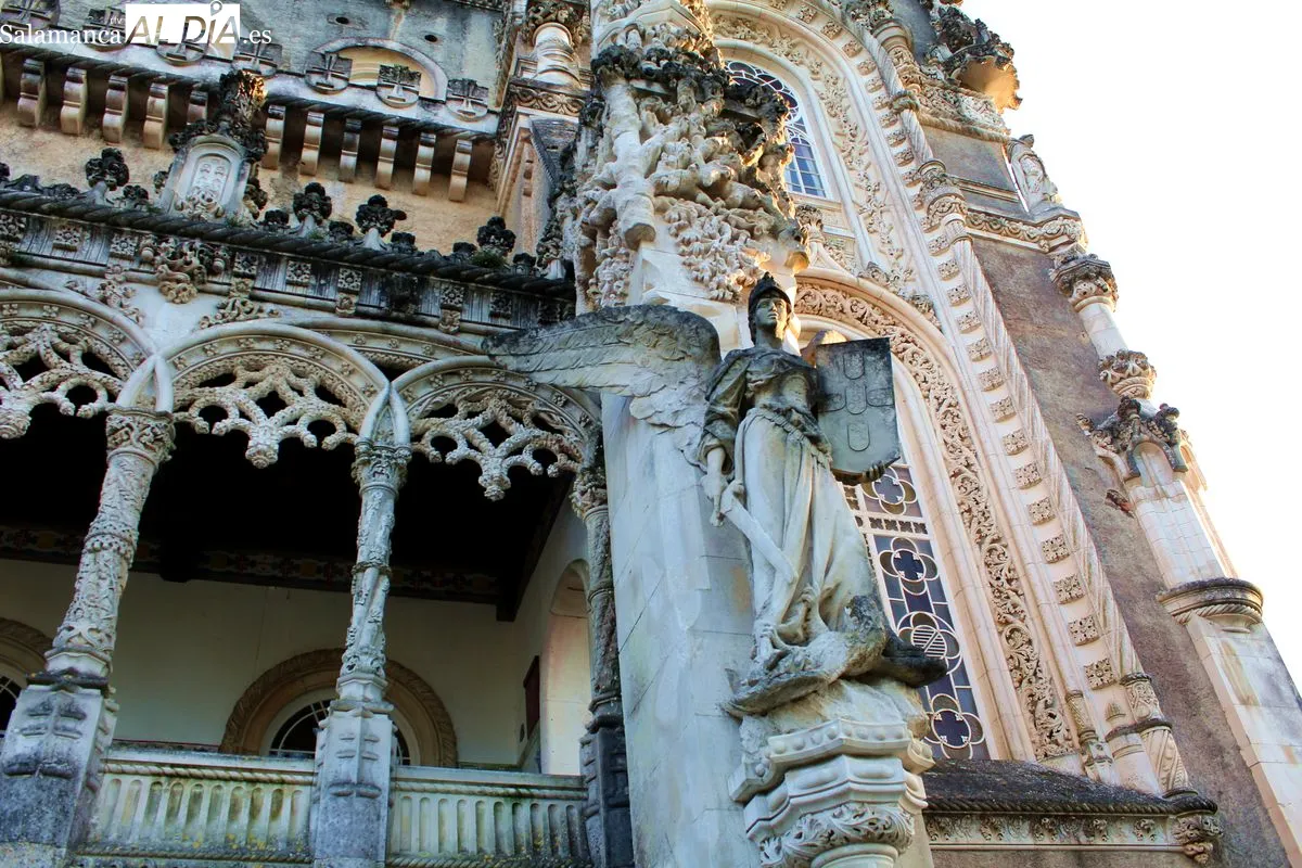 Bussaco se convierte en el primer Bosque Terapéutico certificado en la península ibérica | Fotos: MARTÍN-GARAY