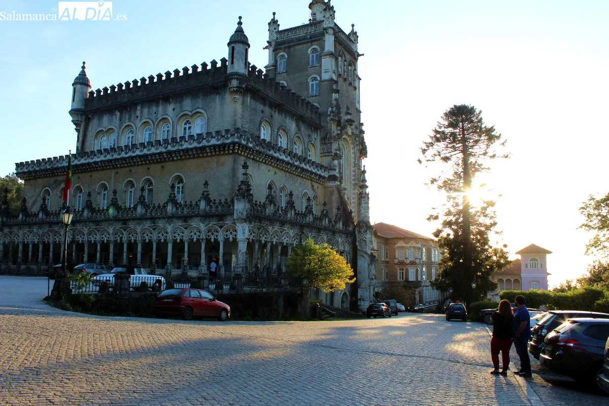 Bussaco se convierte en el primer Bosque Terapéutico certificado en la península ibérica | Fotos: MARTÍN-GARAY
