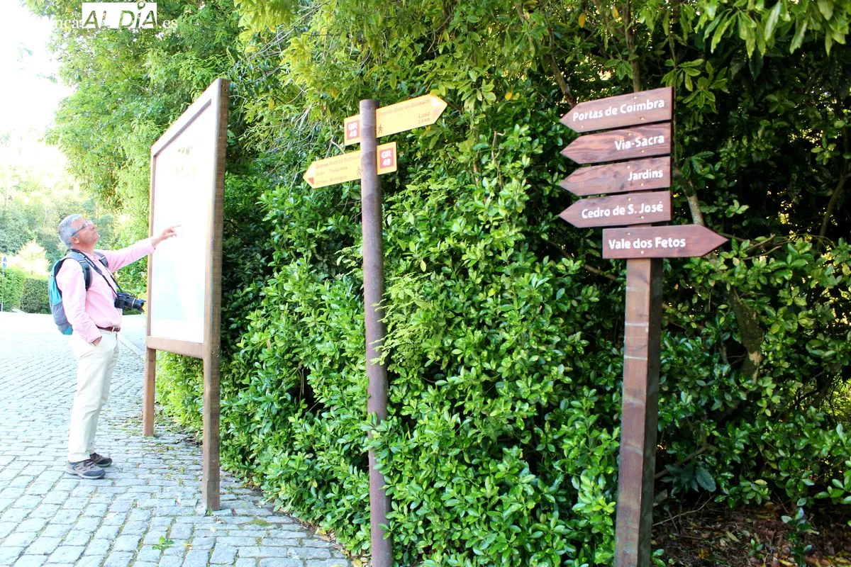 Bussaco se convierte en el primer Bosque Terapéutico certificado en la península ibérica | Fotos: MARTÍN-GARAY