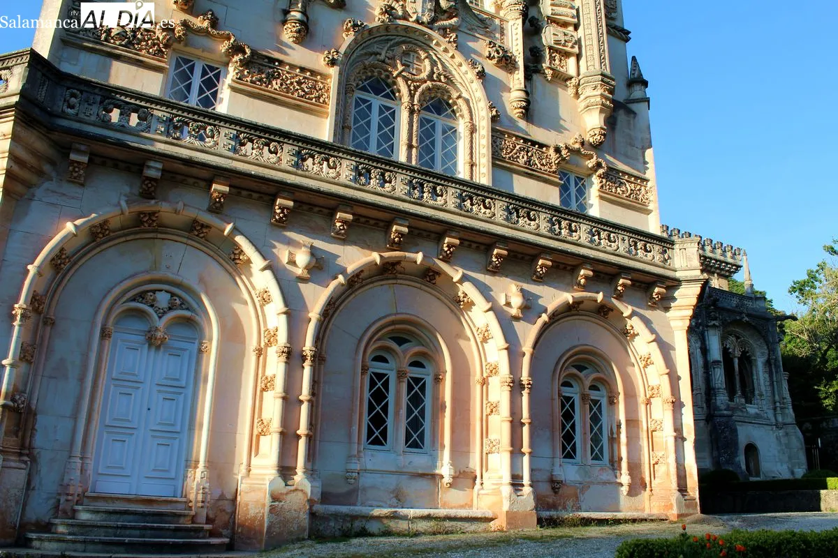 Bussaco se convierte en el primer Bosque Terapéutico certificado en la península ibérica | Fotos: MARTÍN-GARAY