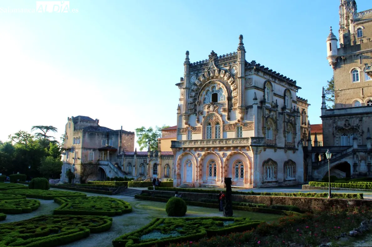 Bussaco se convierte en el primer Bosque Terapéutico certificado en la península ibérica | Fotos: MARTÍN-GARAY