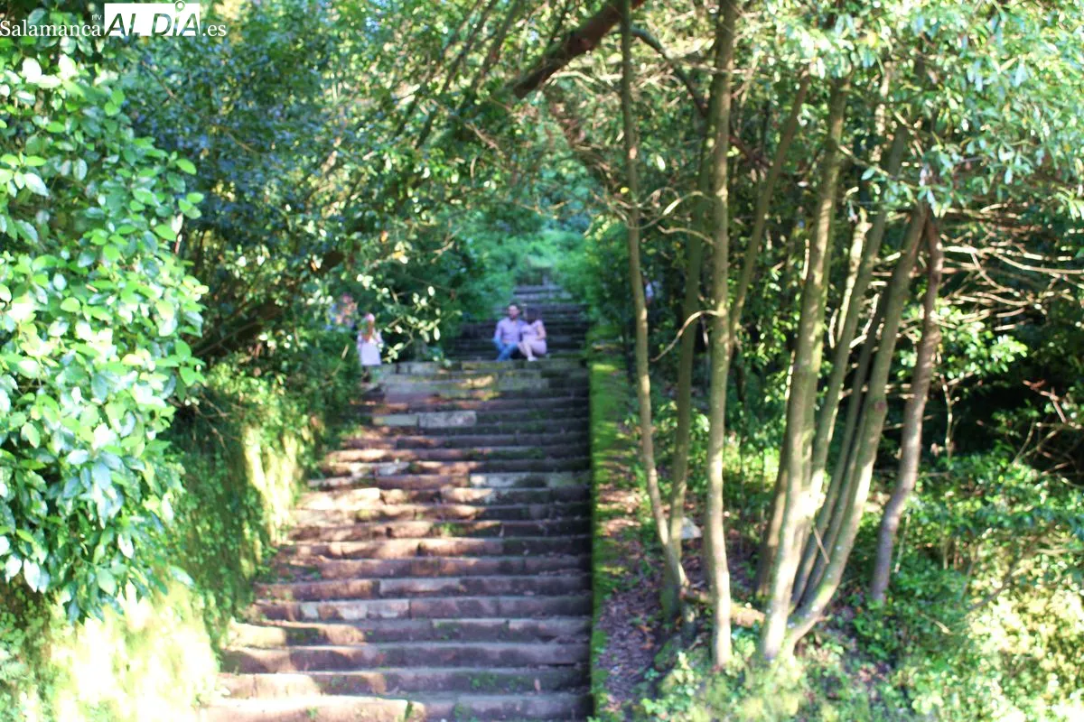 Bussaco se convierte en el primer Bosque Terapéutico certificado en la península ibérica | Fotos: MARTÍN-GARAY