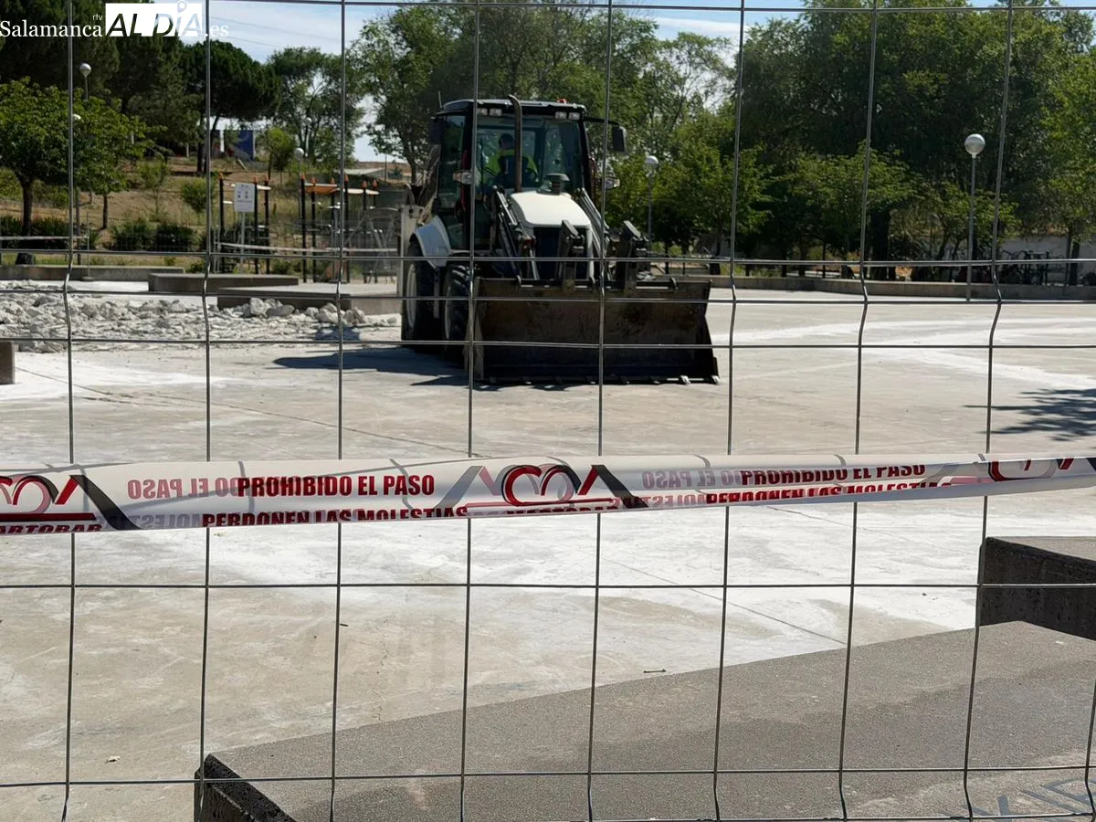 Así avanzan las obras que reformarán el parque de Würzburg | FOTOS: V.Martins