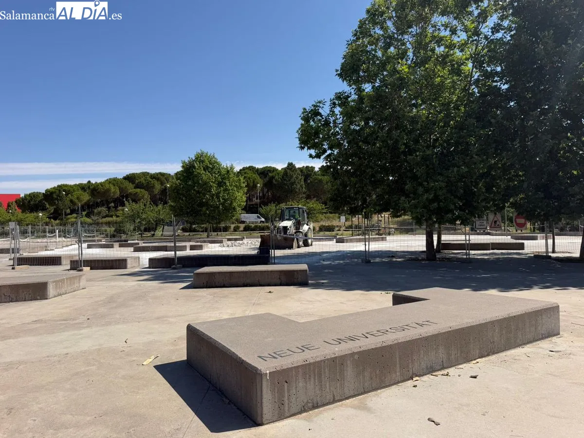 Así avanzan las obras que reformarán el parque de Würzburg | FOTOS: V.Martins