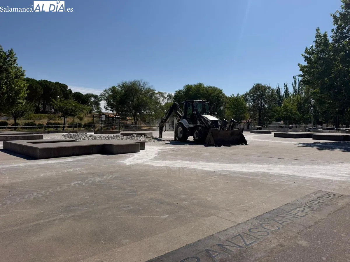 Así avanzan las obras que reformarán el parque de Würzburg | FOTOS: V.Martins