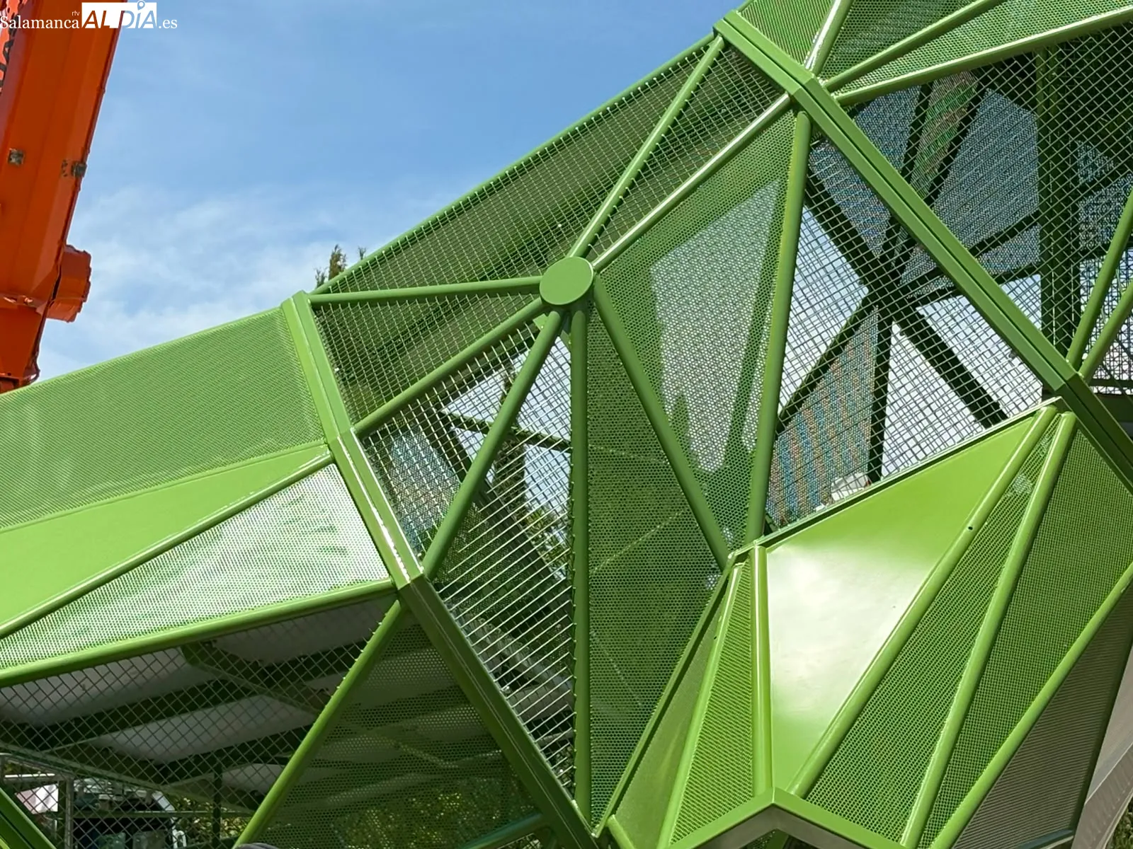 La gran rana del parque de Würzburg comienza a tomar forma | FOTOS: M.G. 