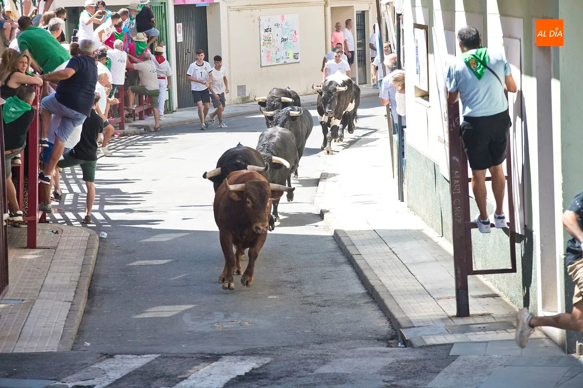Cuarto y último encierro San Buenaventura en Moraleja