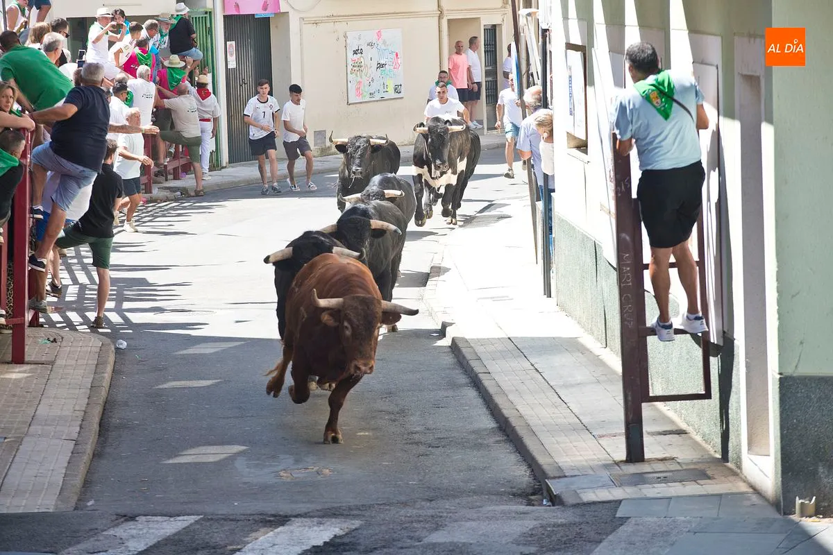 Cuarto y último encierro San Buenaventura en Moraleja
