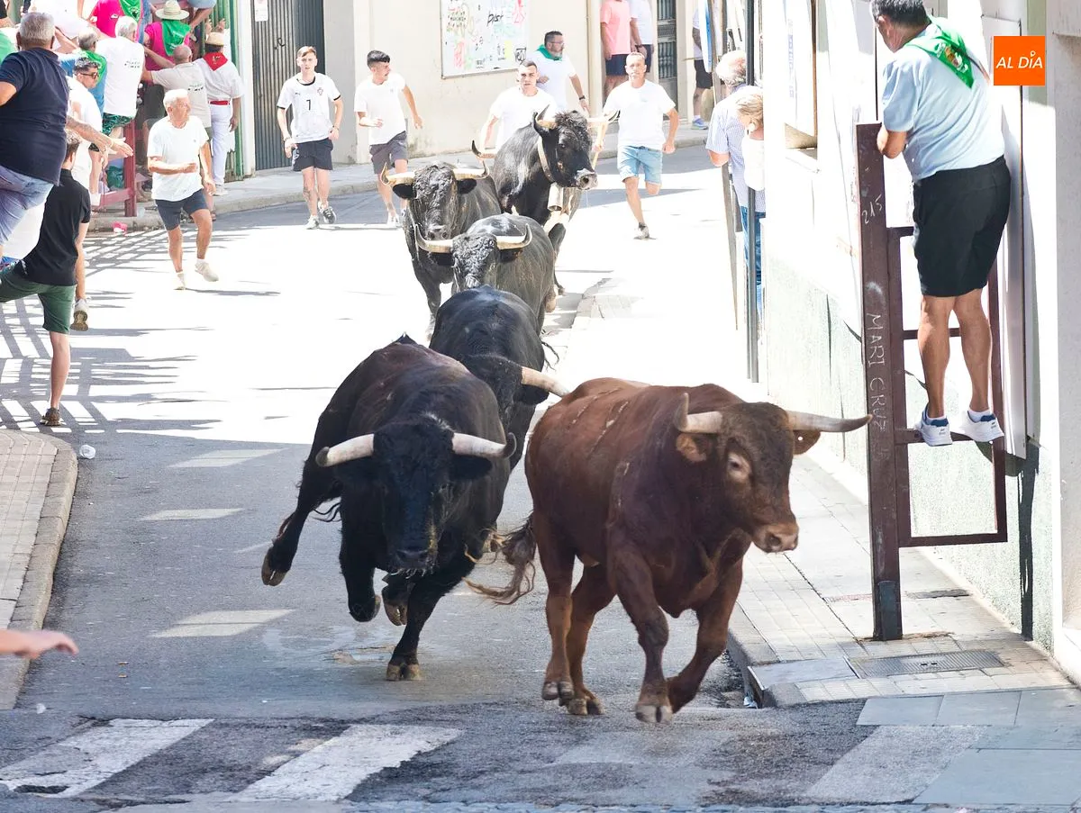 Cuarto y último encierro San Buenaventura en Moraleja