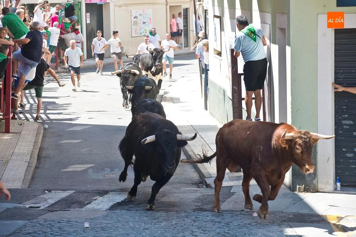 Cuarto y último encierro San Buenaventura en Moraleja