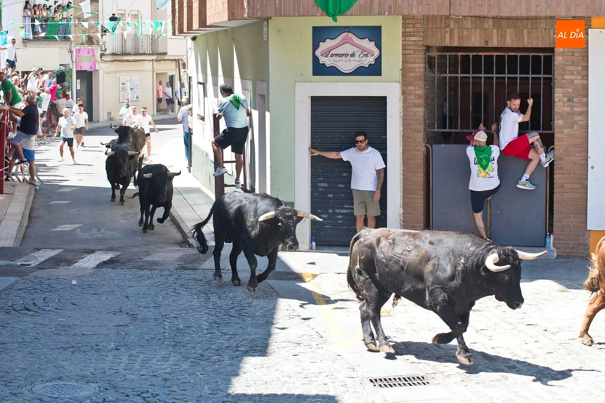 Cuarto y último encierro San Buenaventura en Moraleja