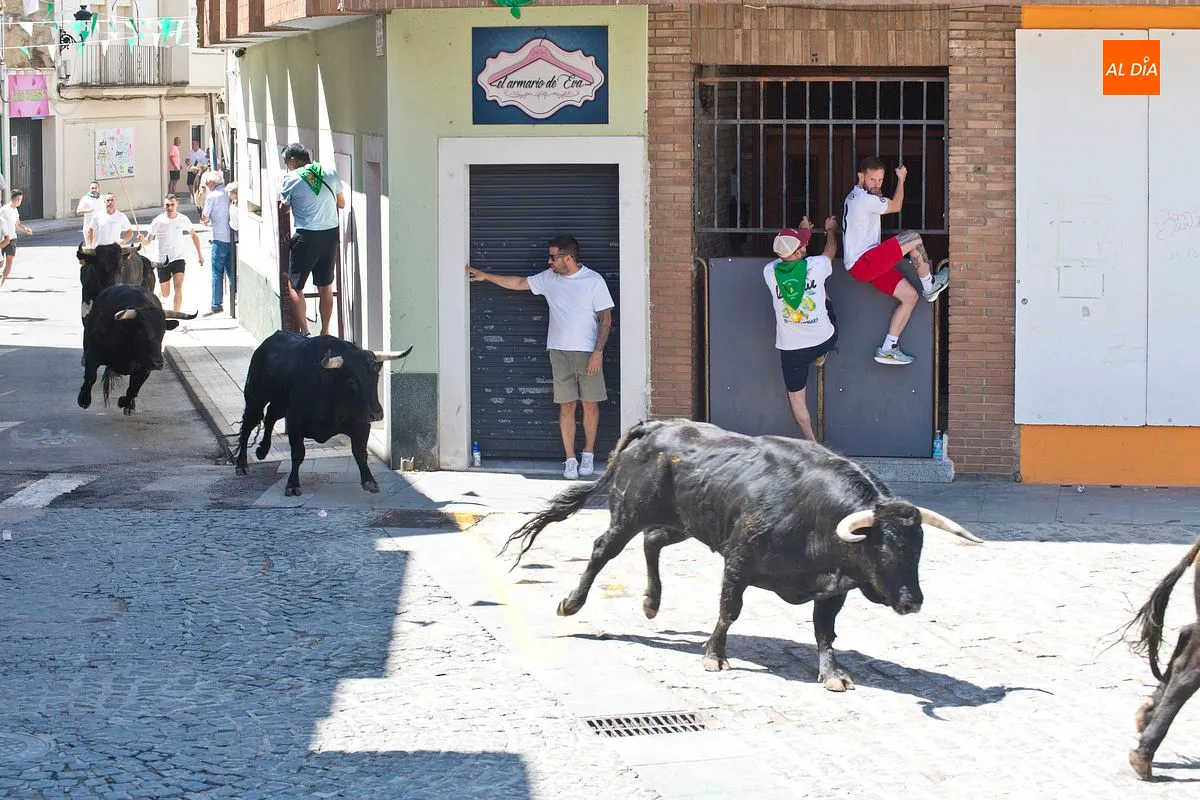 Cuarto y último encierro San Buenaventura en Moraleja