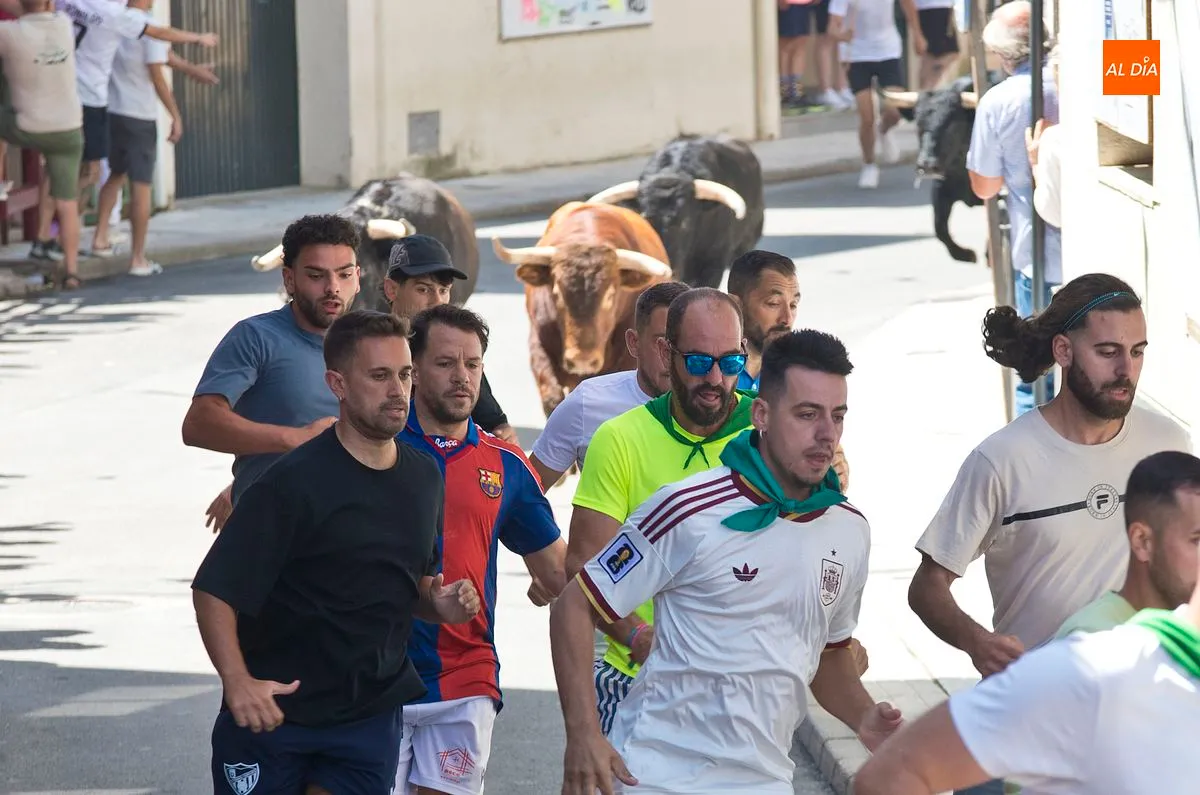 Cuarto y último encierro San Buenaventura en Moraleja