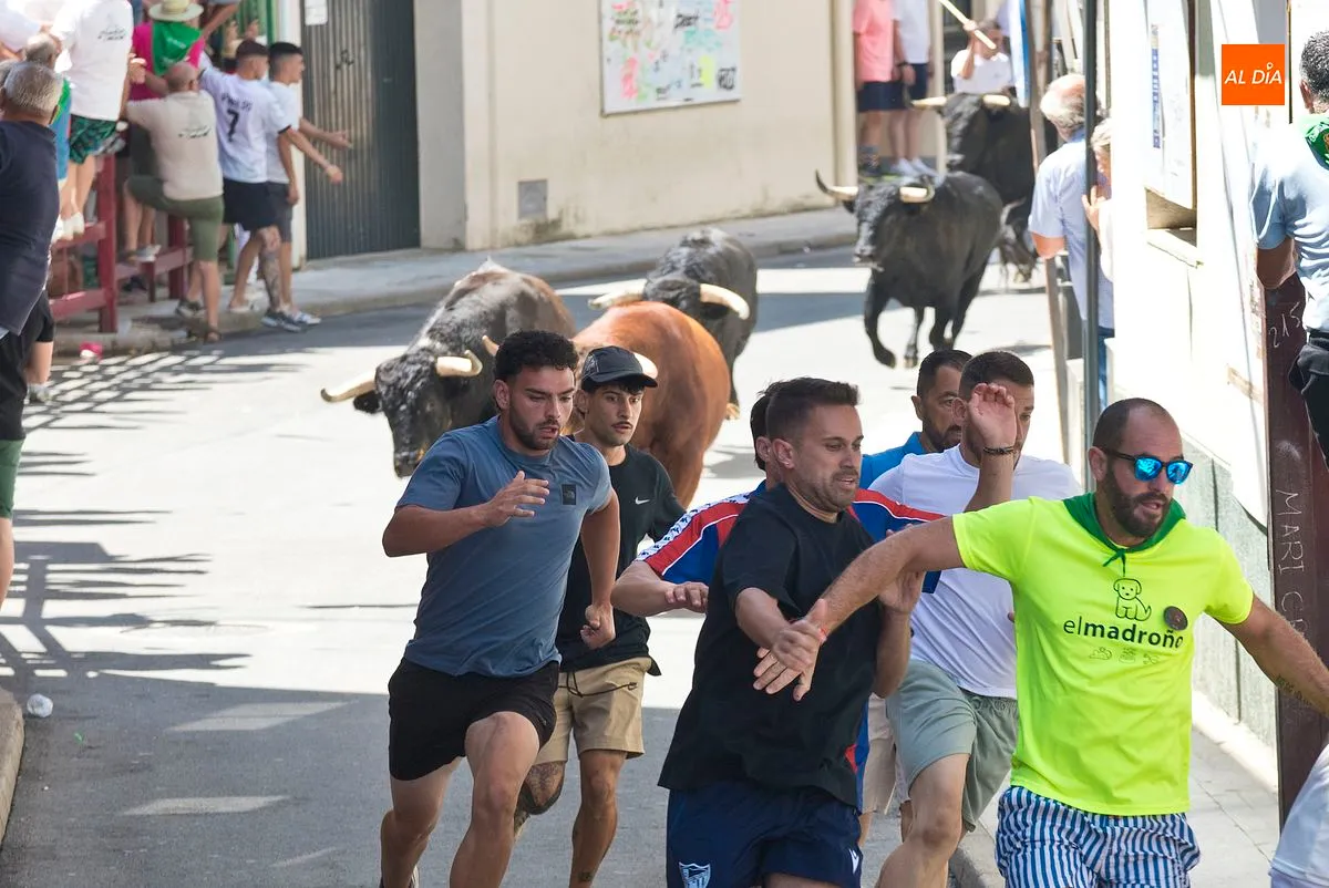 Cuarto y último encierro San Buenaventura en Moraleja