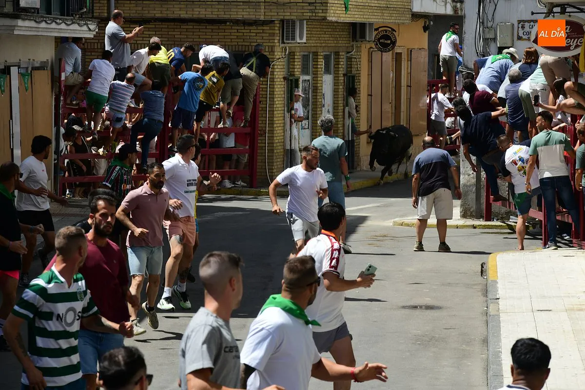 Encierro de loas 