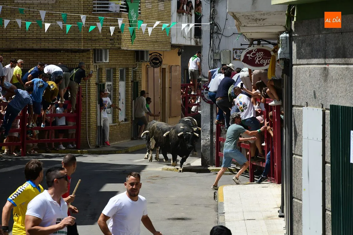 Encierro de loas 