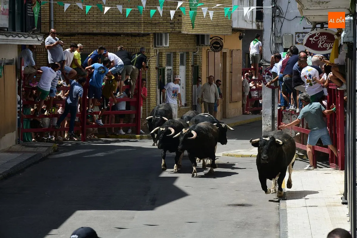 Encierro de loas 
