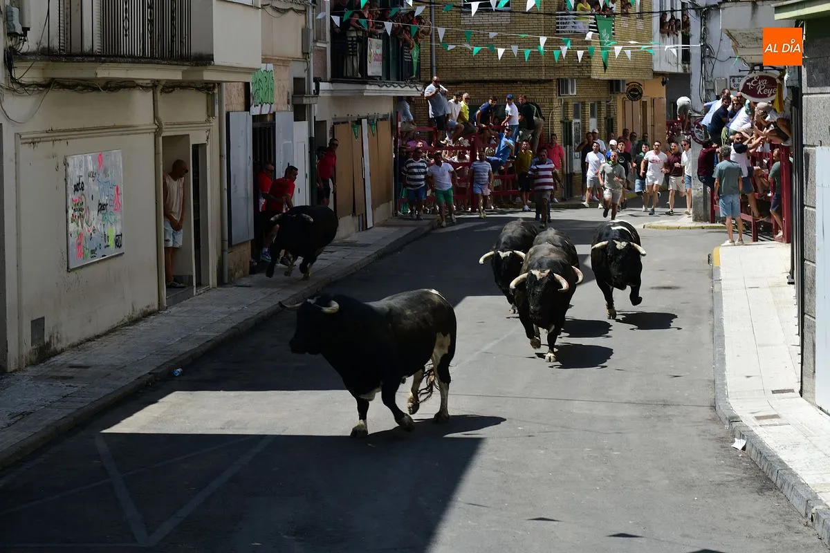 Encierro de loas 