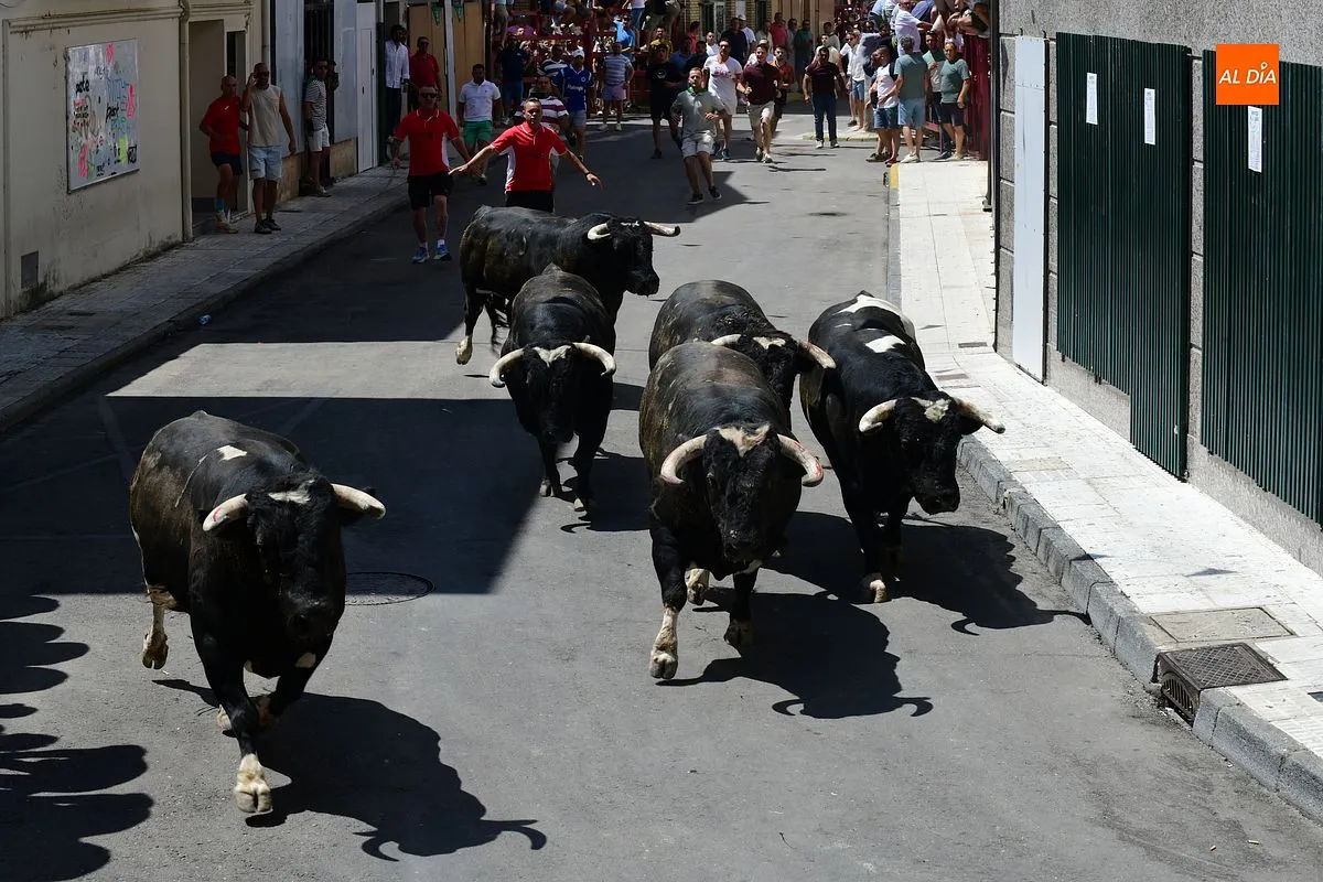 Encierro de loas 