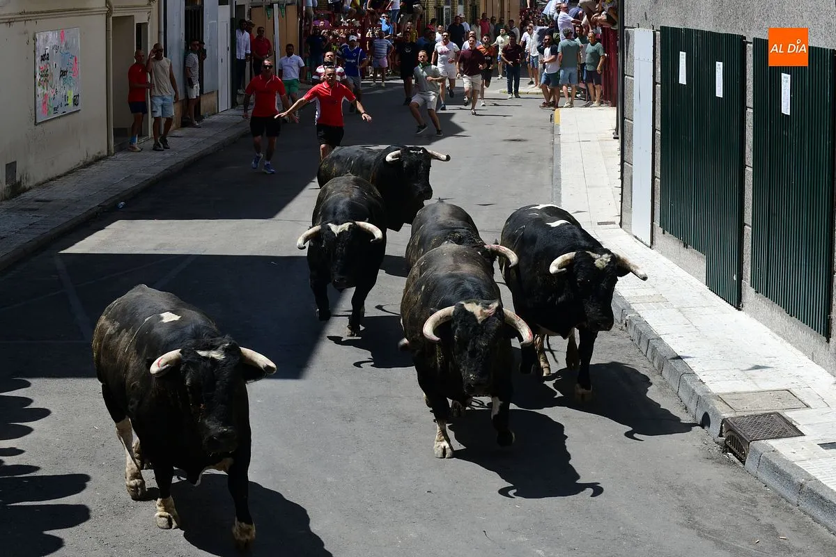 Encierro de loas 