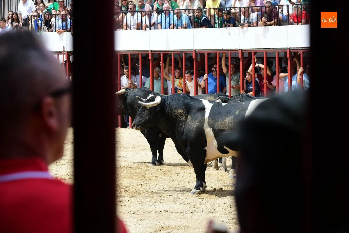 Encierro de loas 