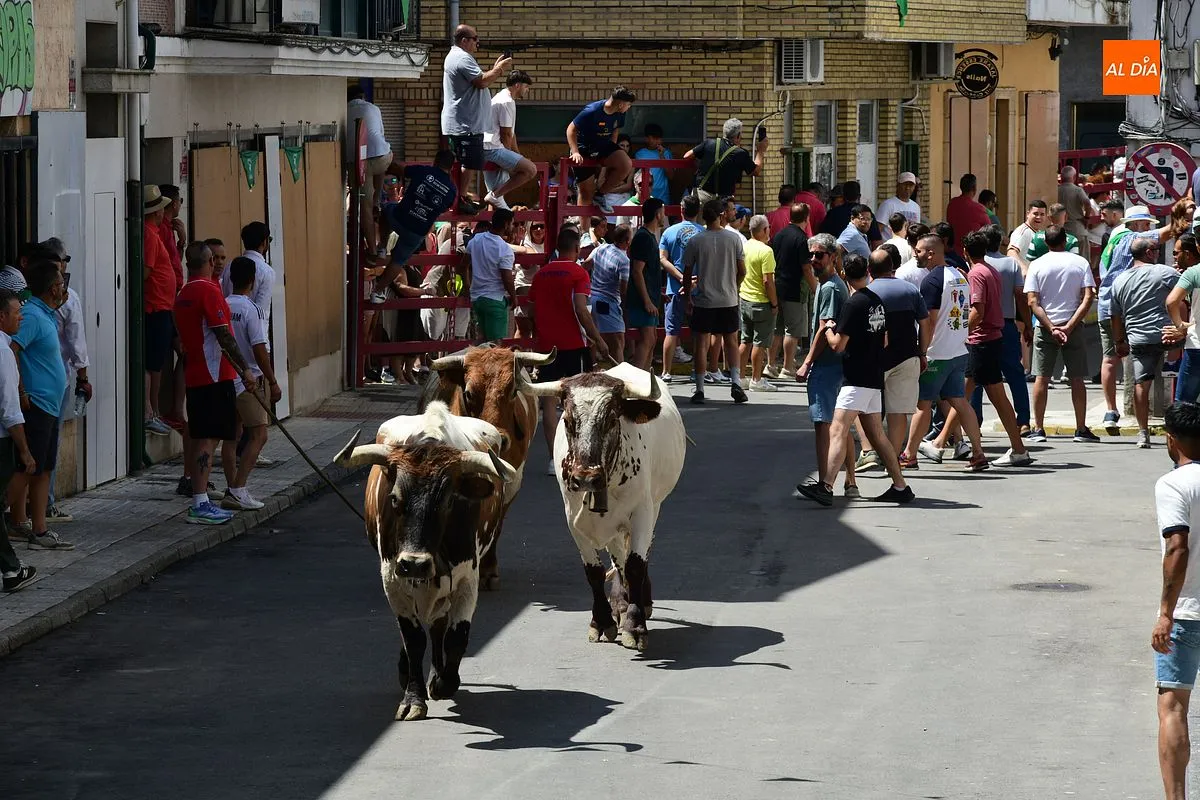 Encierro de loas 