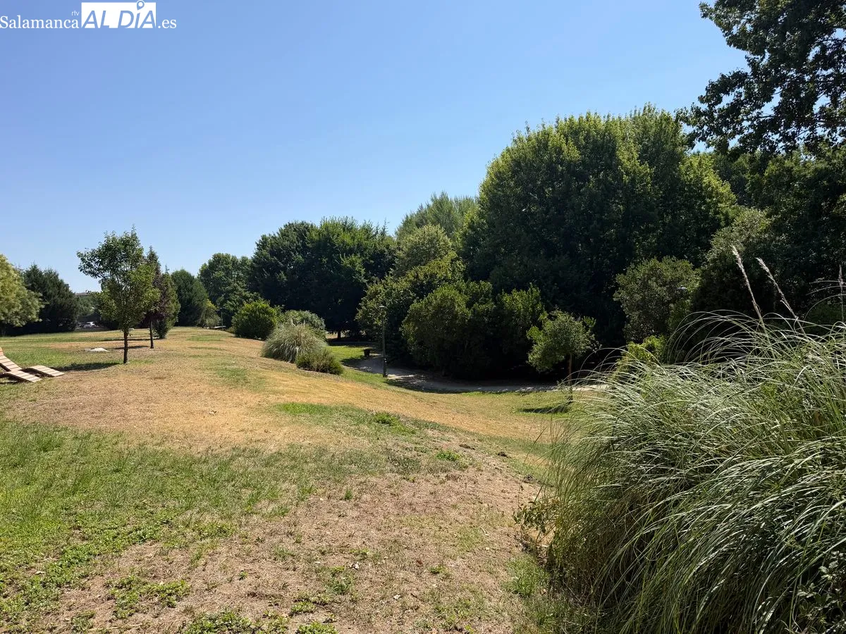 Huerta Otea, el paraíso botánico de Salamanca a orillas del río | FOTOS: V.M. 