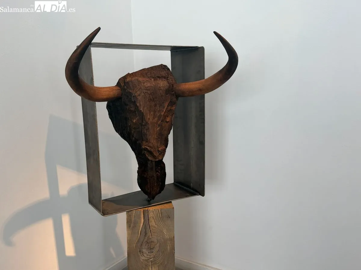 Exposición 'Entre Encinas y Memoria' de Ángel Martín Carreño en Salamanca | FOTOS: V. Martins 