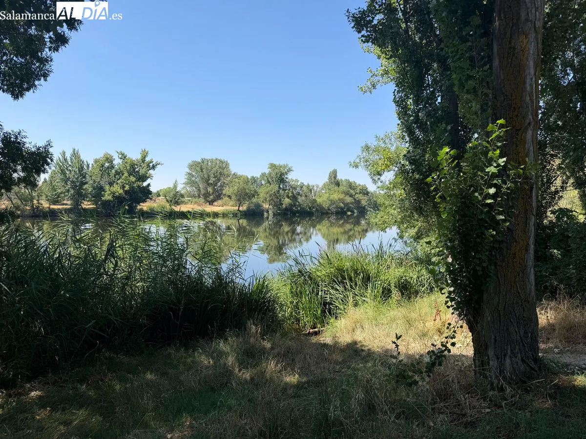 El parque botánico Huerta Otea de Salamanca al detalle