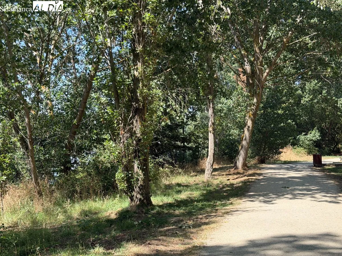 Huerta Otea, el paraíso botánico de Salamanca a orillas del río | FOTOS: V.M. 