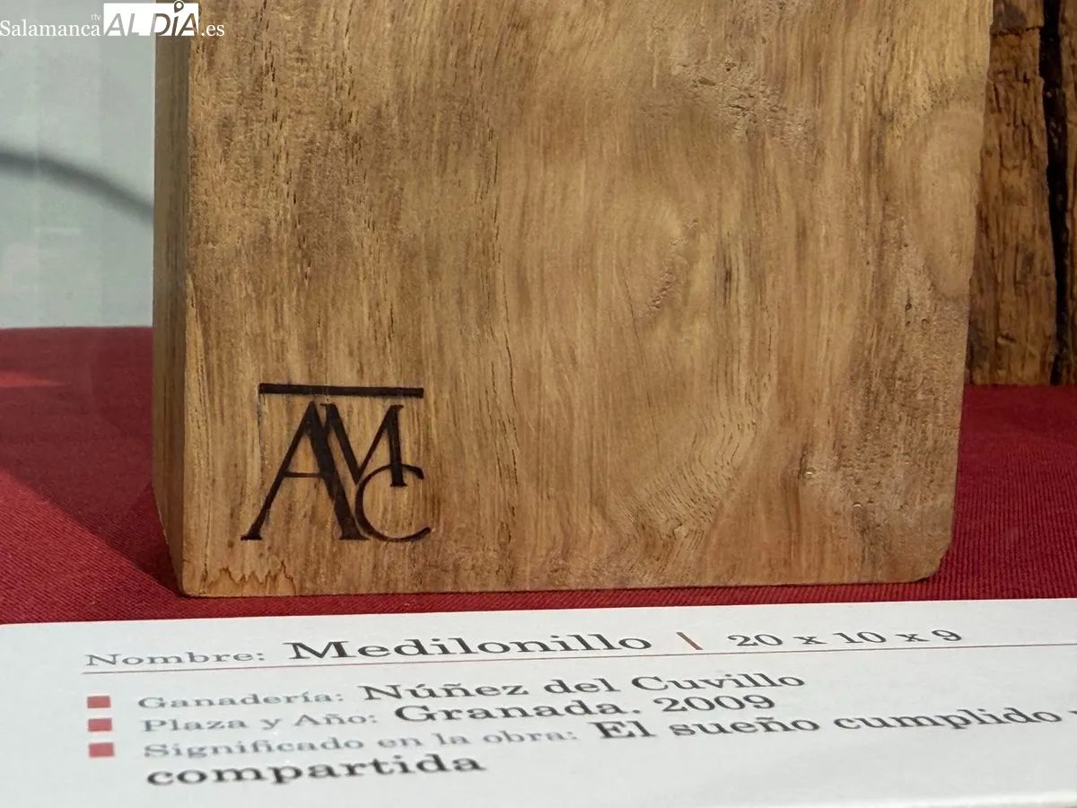 Exposición 'Entre Encinas y Memoria' de Ángel Martín Carreño en Salamanca | FOTOS: V. Martins 