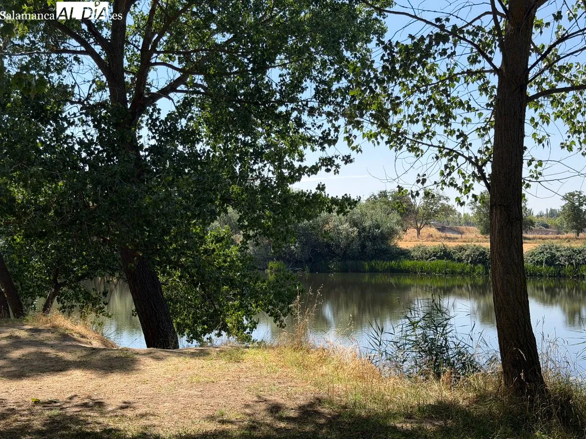 Huerta Otea, el paraíso botánico de Salamanca a orillas del río | FOTOS: V.M. 