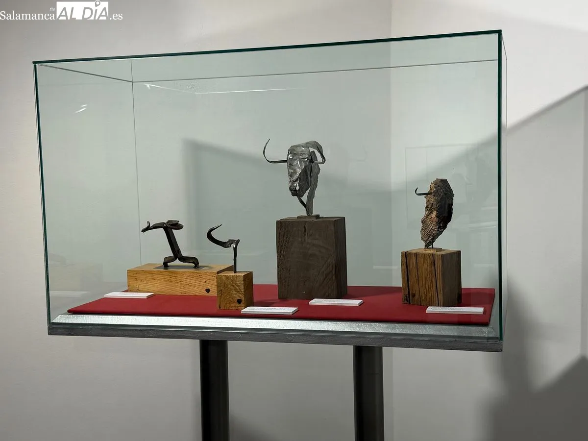 Exposición 'Entre Encinas y Memoria' de Ángel Martín Carreño en Salamanca | FOTOS: V. Martins 